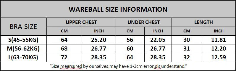 Seamless Sport Bra Women's Lingerie Fitness Yoga Running Vest Underwear Padded Crop Tops Underwear Push Up Gym Top Bras