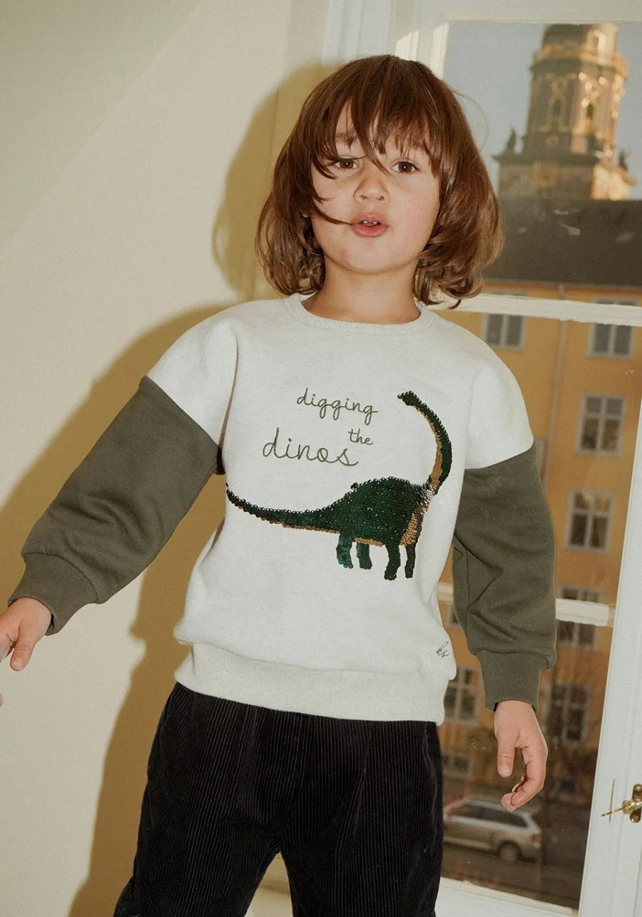 Spring Ks Baby Boys Cotton Sweatshirts Set Kids Clothes Autumn Girls Cartoon Panda Dinosaur Pullover Children Lemon Top Pants