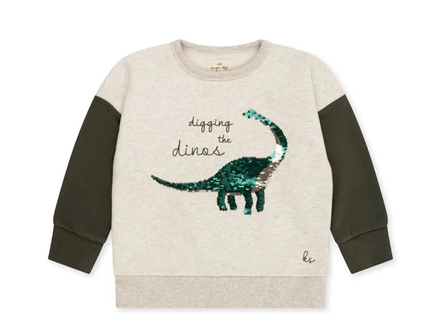 Spring Ks Baby Boys Cotton Sweatshirts Set Kids Clothes Autumn Girls Cartoon Panda Dinosaur Pullover Children Lemon Top Pants