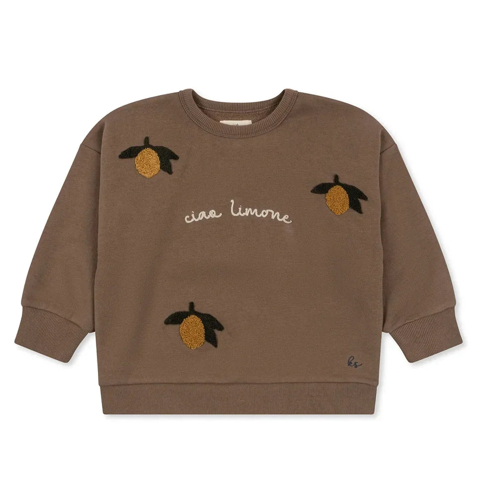 Spring Ks Baby Boys Cotton Sweatshirts Set Kids Clothes Autumn Girls Cartoon Panda Dinosaur Pullover Children Lemon Top Pants
