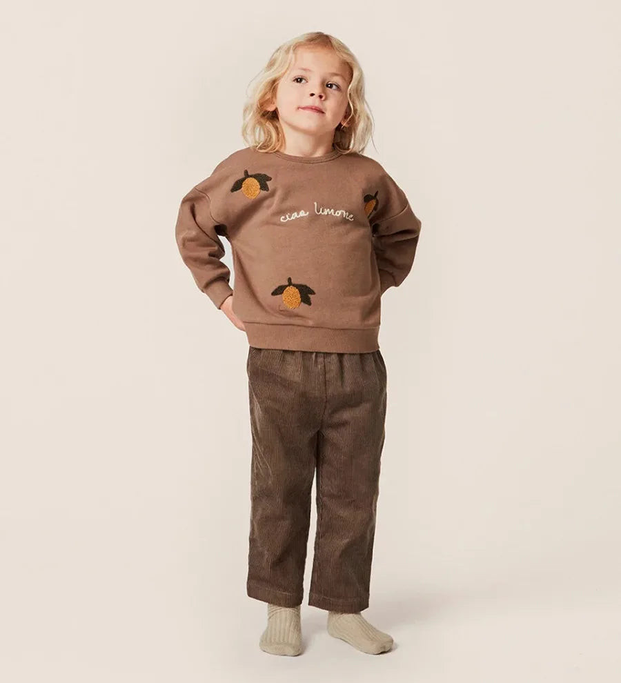 Spring Ks Baby Boys Cotton Sweatshirts Set Kids Clothes Autumn Girls Cartoon Panda Dinosaur Pullover Children Lemon Top Pants