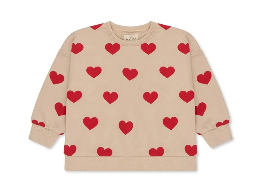 Spring Ks Baby Boys Cotton Sweatshirts Set Kids Clothes Autumn Girls Cartoon Panda Dinosaur Pullover Children Lemon Top Pants
